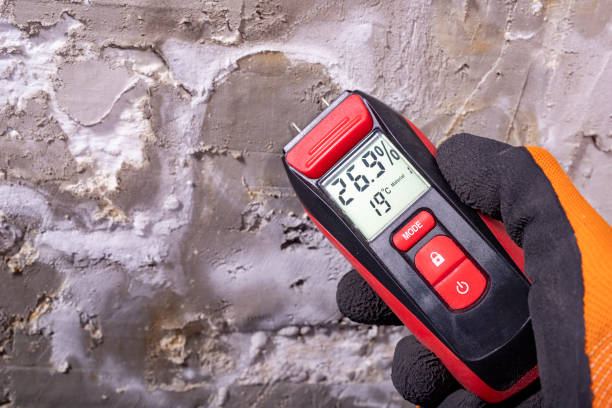 Best Black Mold Removal  in King Arthur Park, MT